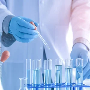 takahe (5)